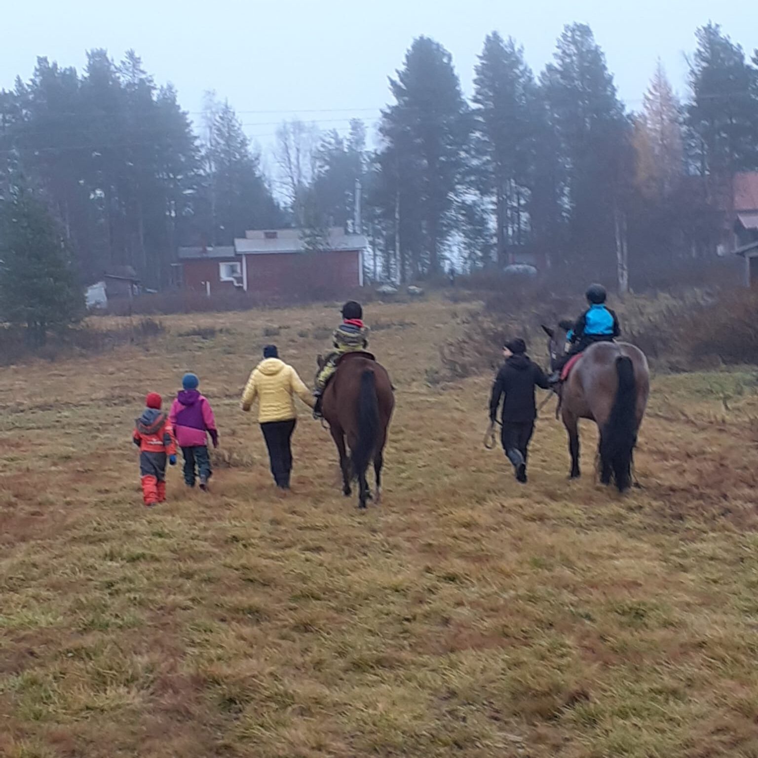 Pferde Kinder reiten