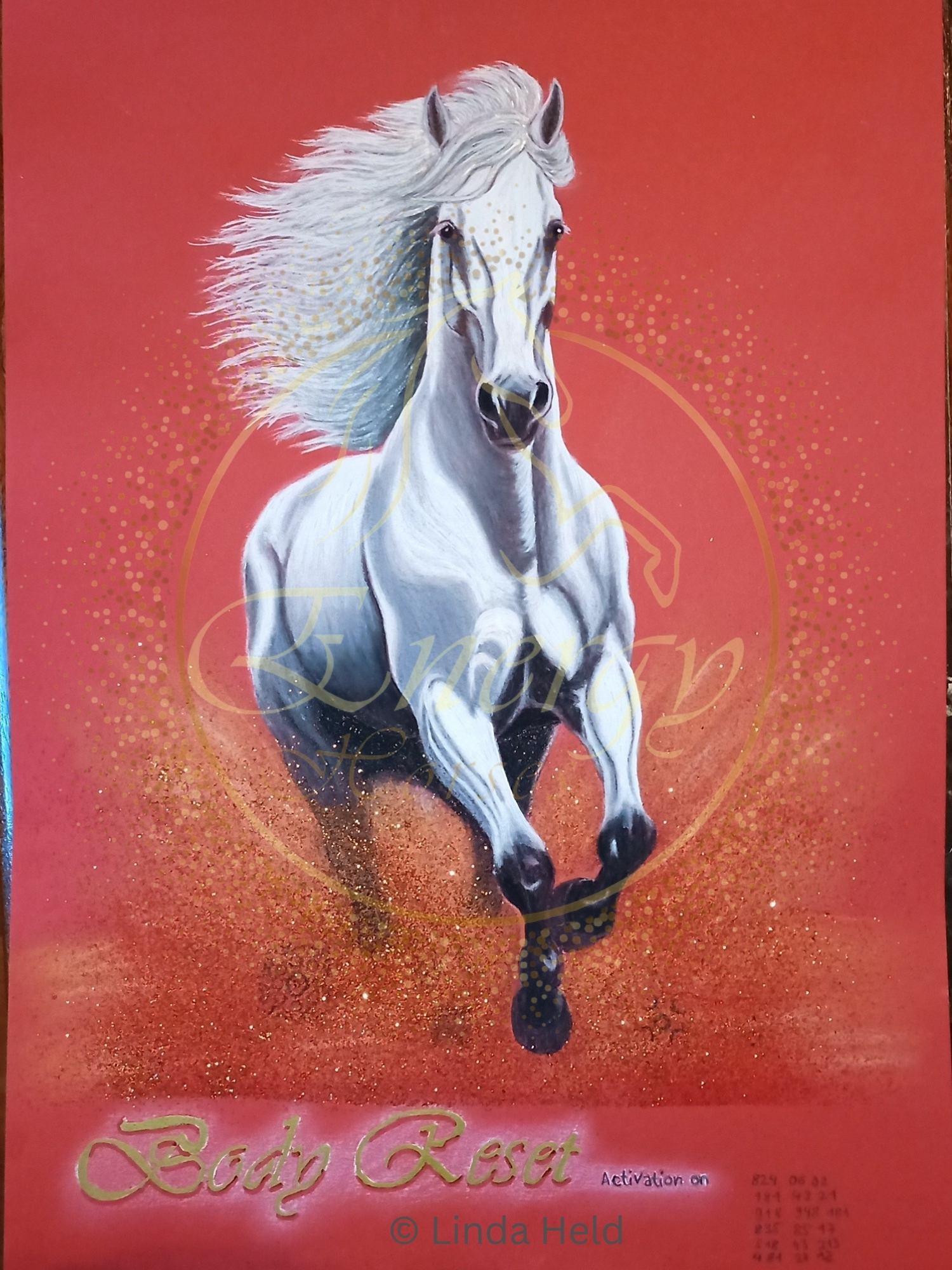 Body Reset Energy Horse - PDF