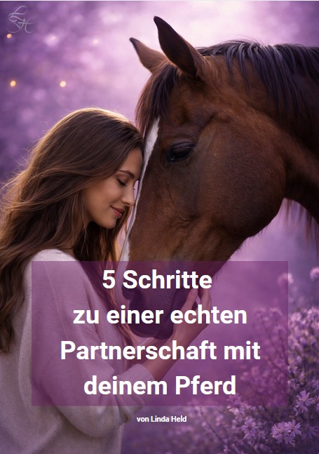 5 Schritte zu einer echten Partnerschaft mit deinem Pferd