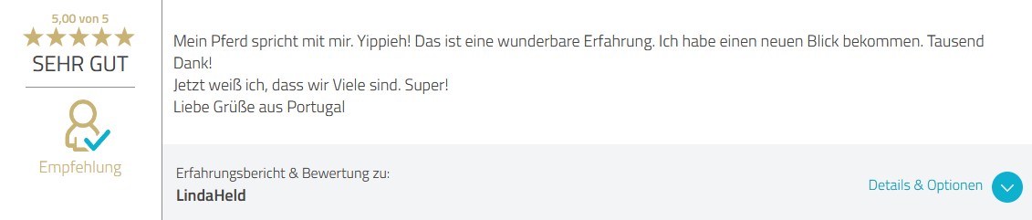 Feedback Liebe der Pferde