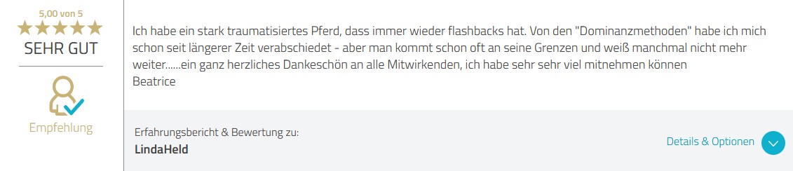 Feedback Liebe der Pferde